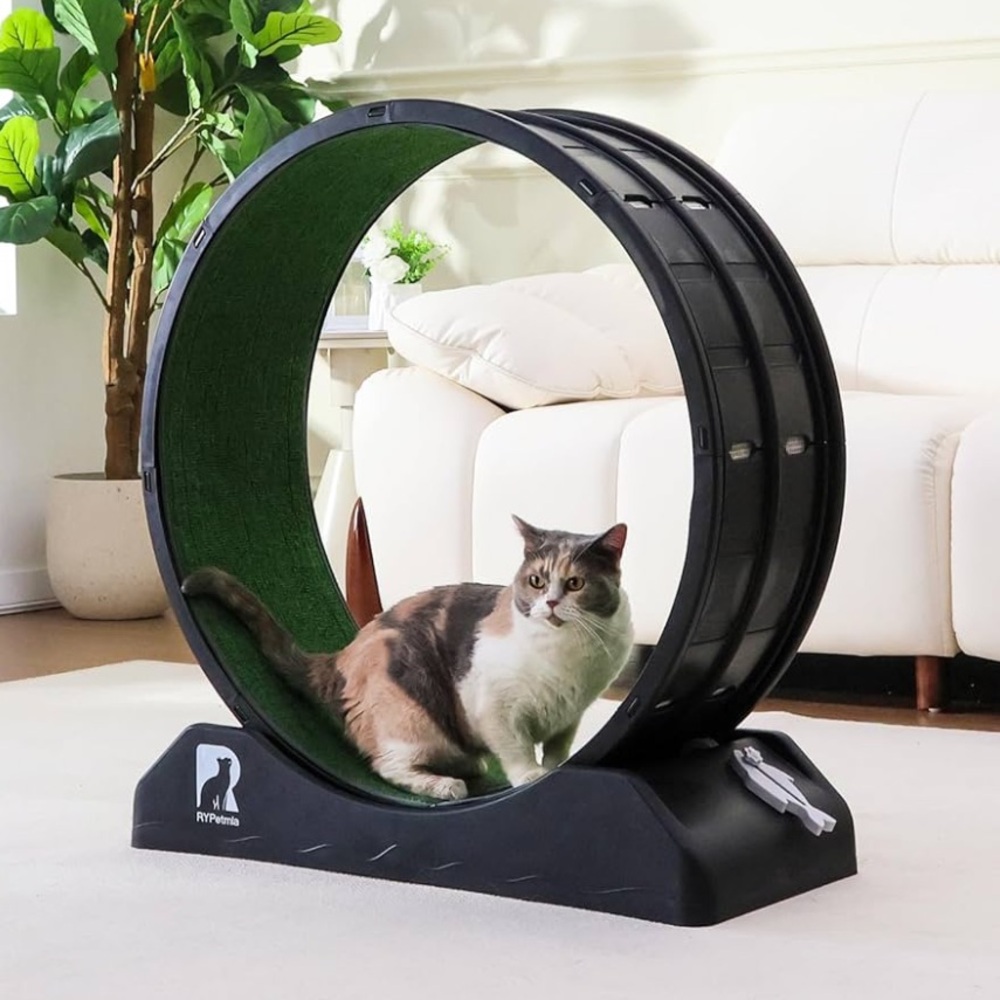 Cat Exercise wheel